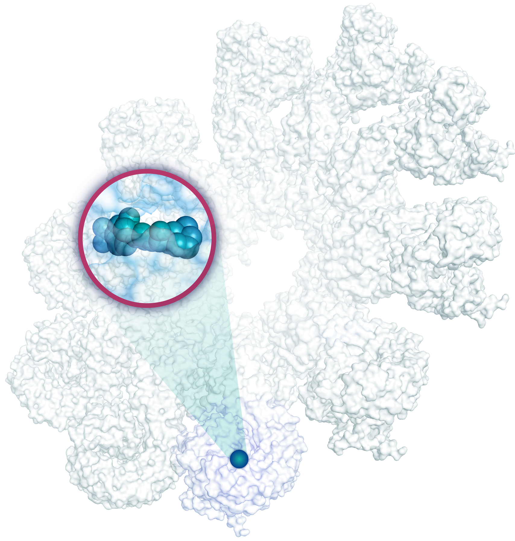 VTX3232 inhibiting NLRP3 inflammasome