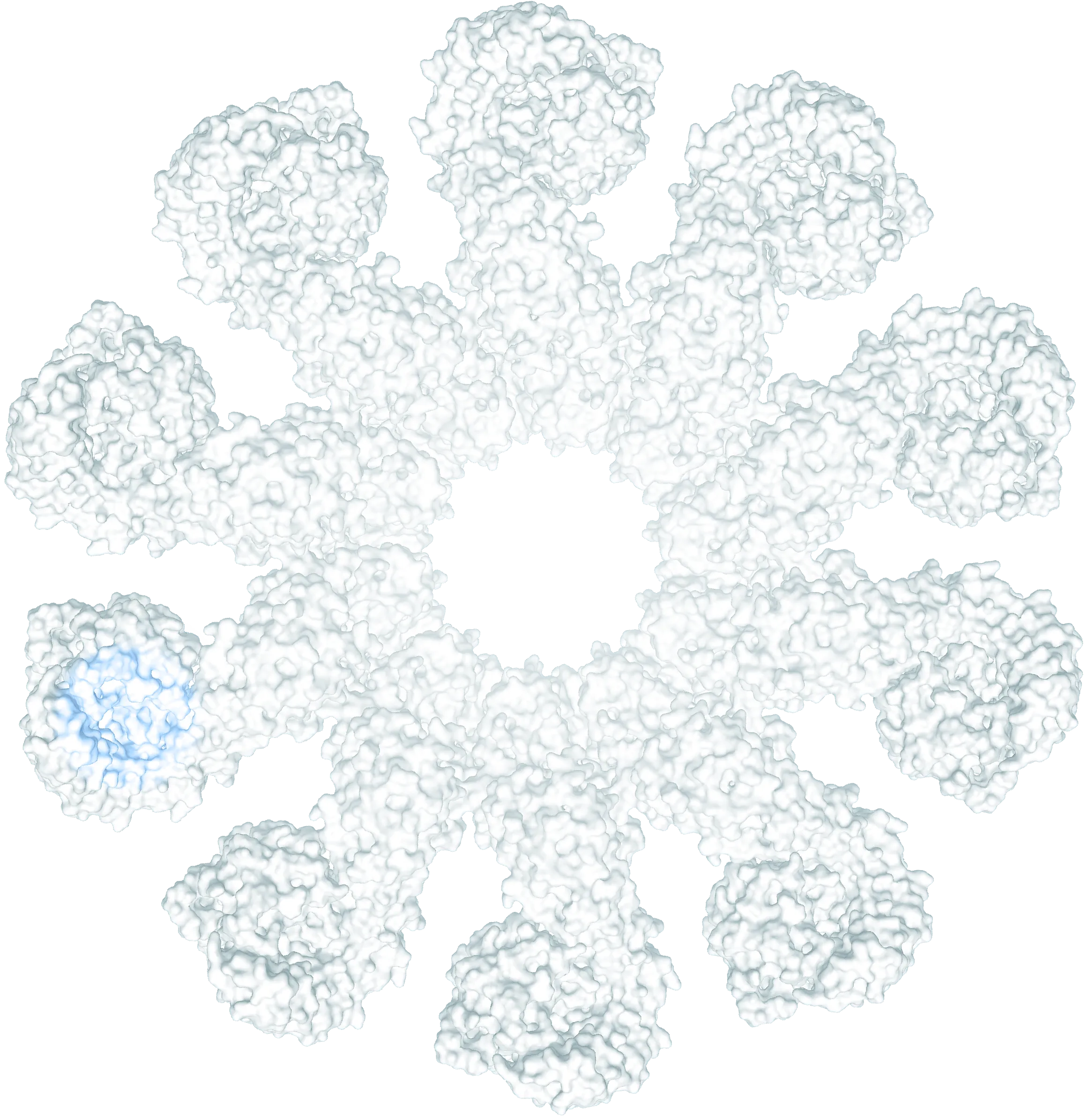 NLRP3 inflammasome