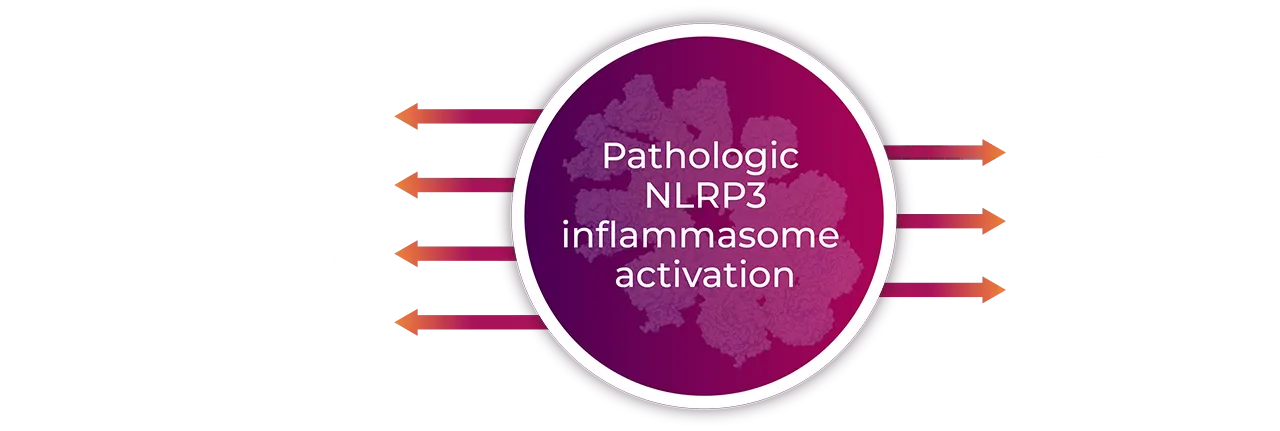 NLRP3 activation is tied to chronic inflammatory disorders