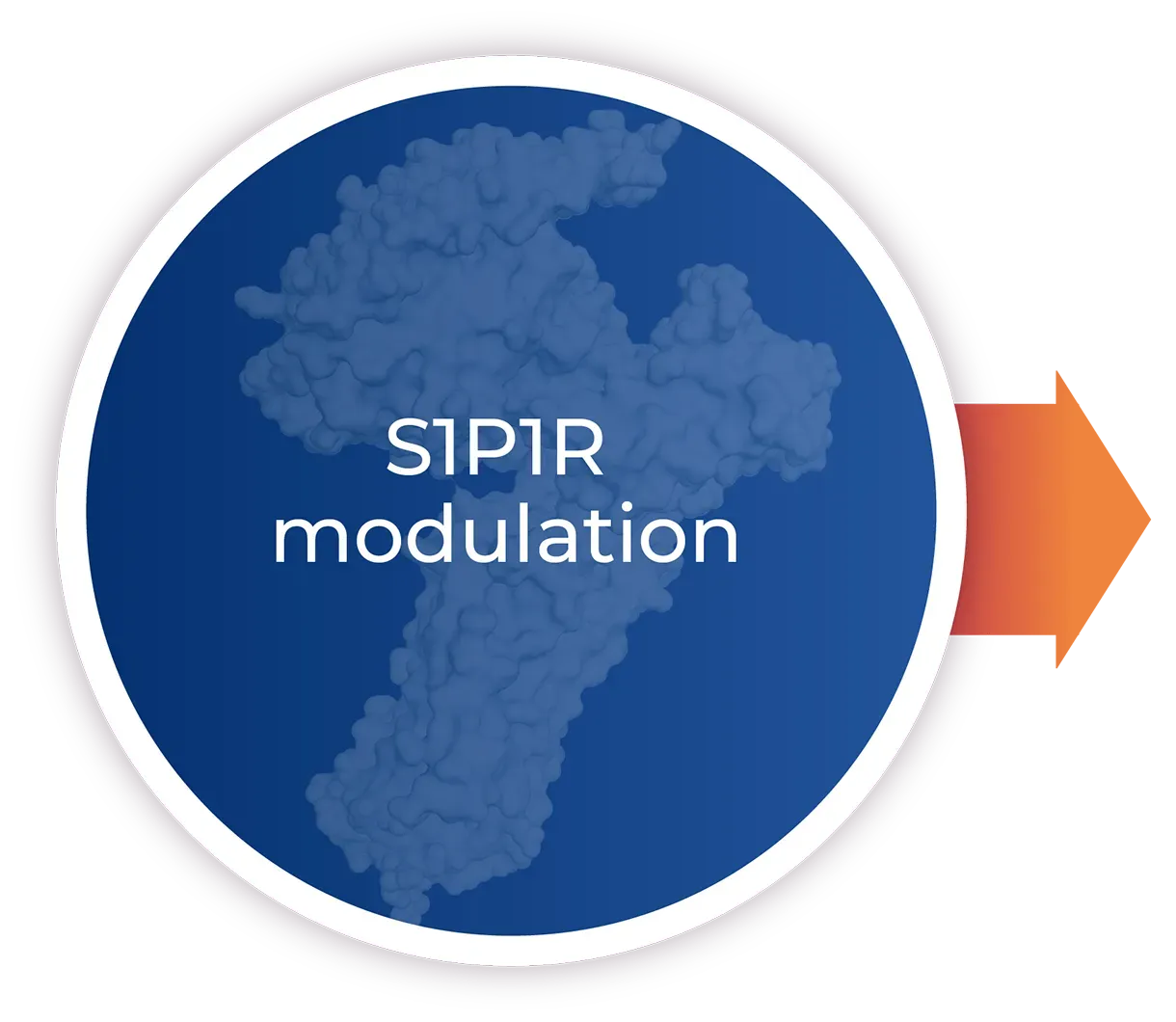 S1P1R is dysregulated in ulcerative colitis