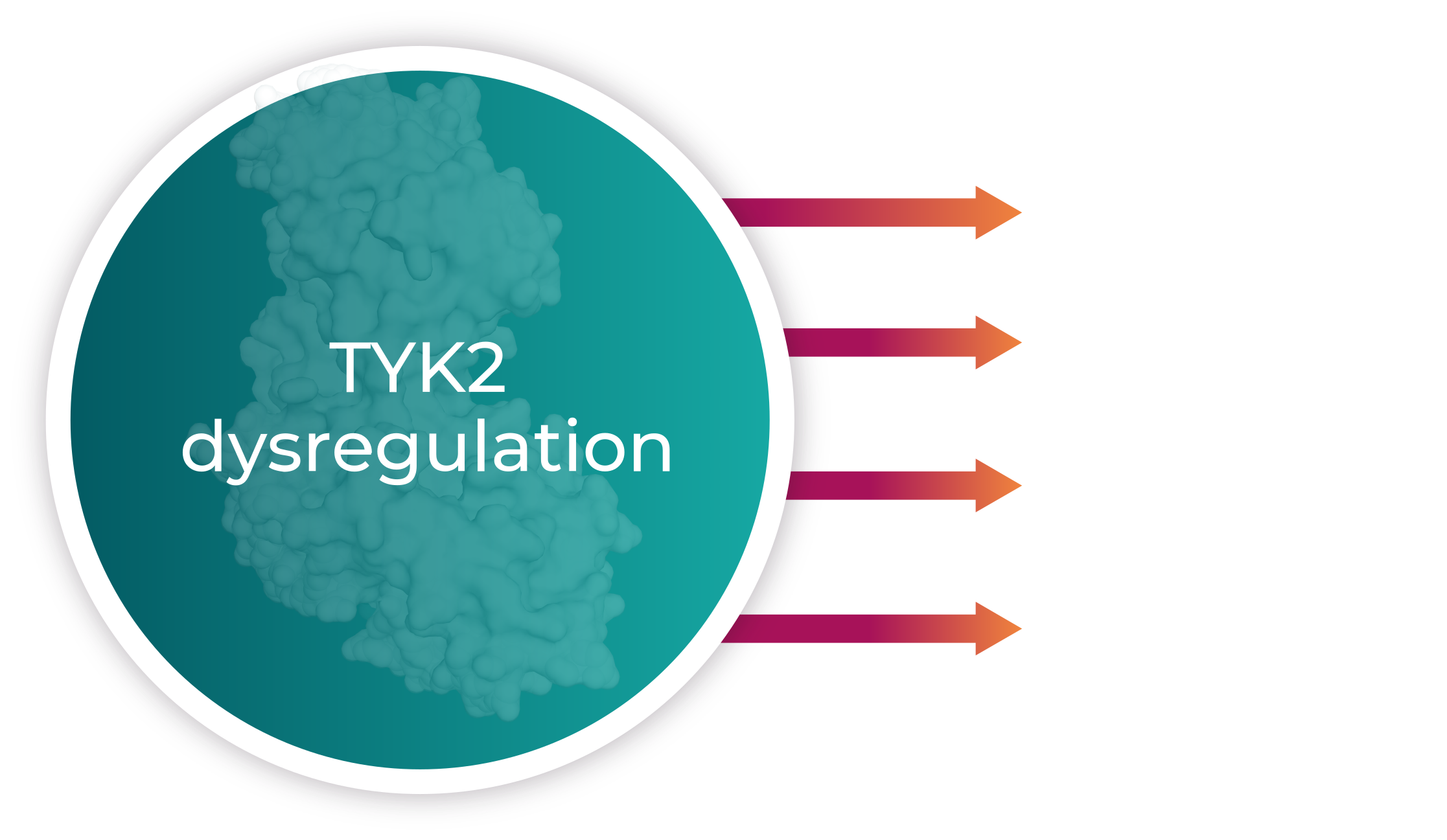 TYK2 is dysregulated in multiple autoimmune diseases