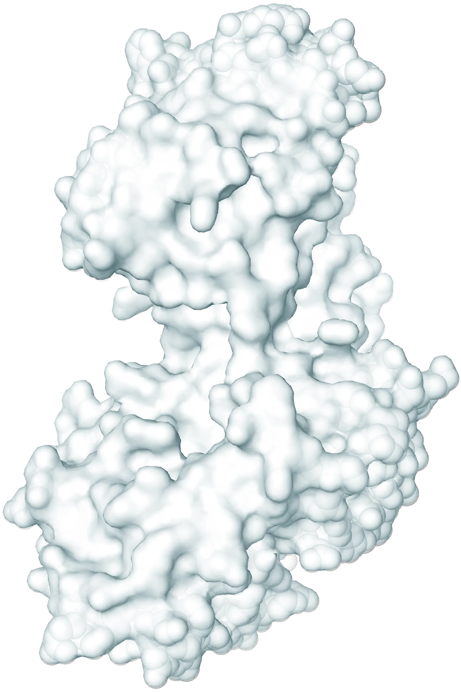 TYK2 is dysregulated in multiple autoimmune diseases